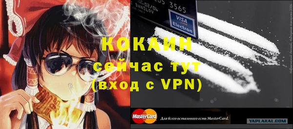 mdpv Няндома